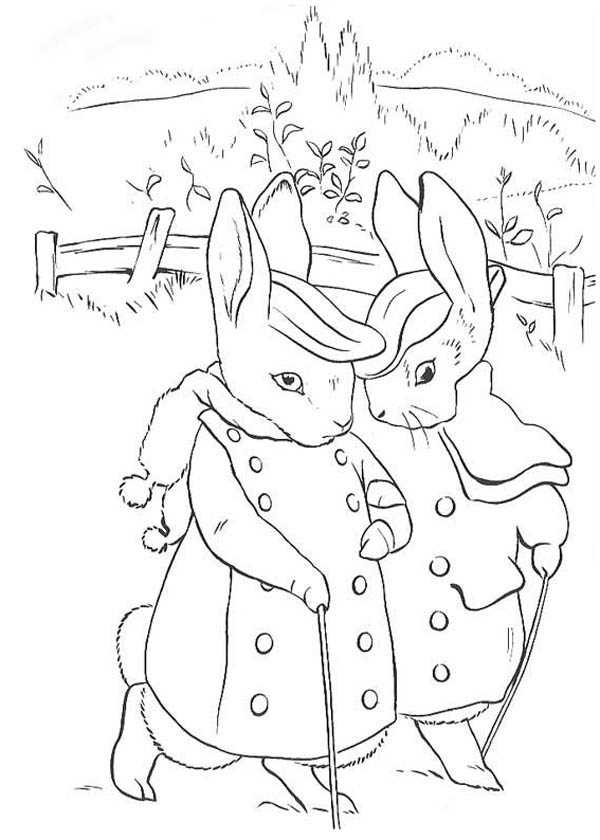 Free Peter Rabbit Coloring Pages