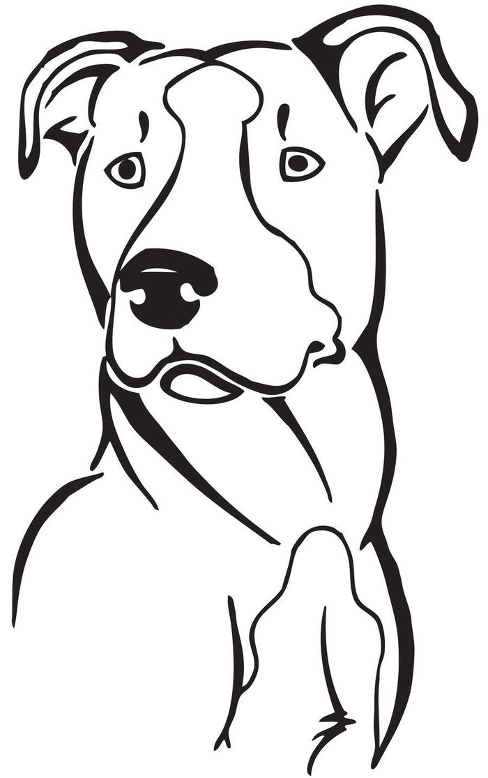 Free Pitbull Coloring Pages