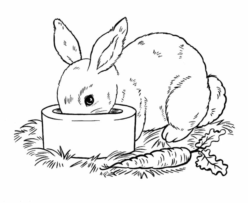 Free Printable Bunny Rabbit Coloring Pages