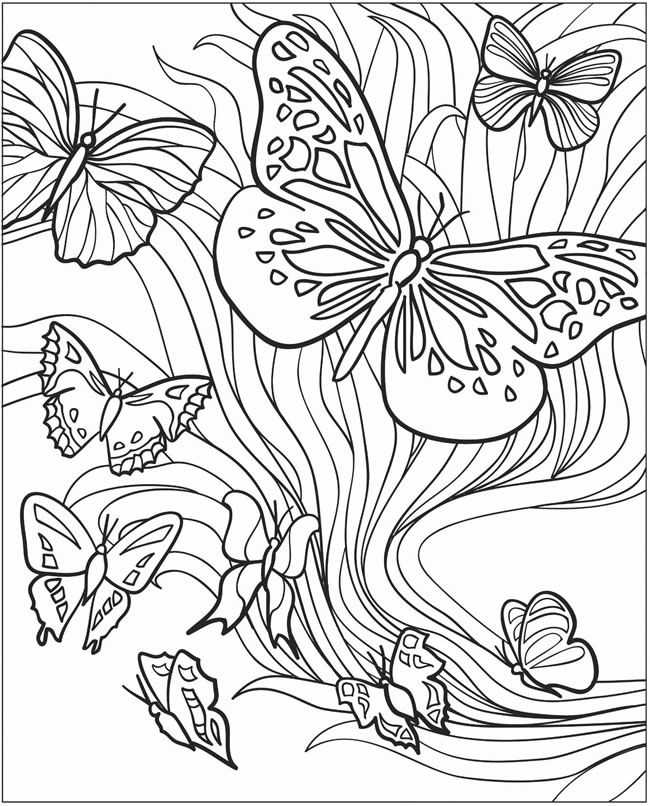 Free Printable Butterfly Coloring Pages 1