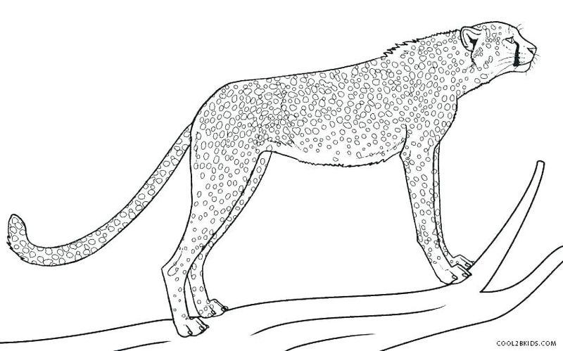 Free Printable Cheetah Coloring Pages