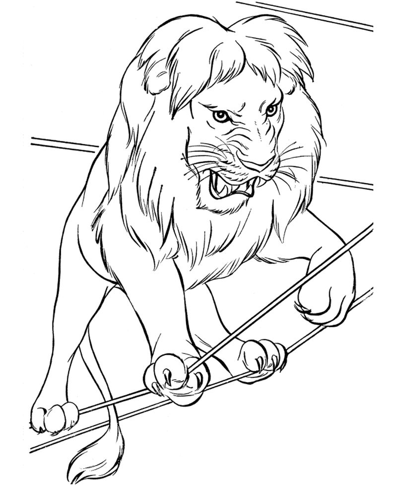 Free Printable Lion Coloring Pages