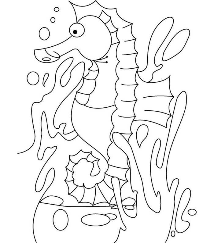 Printable Seahorse Coloring Pages PDF