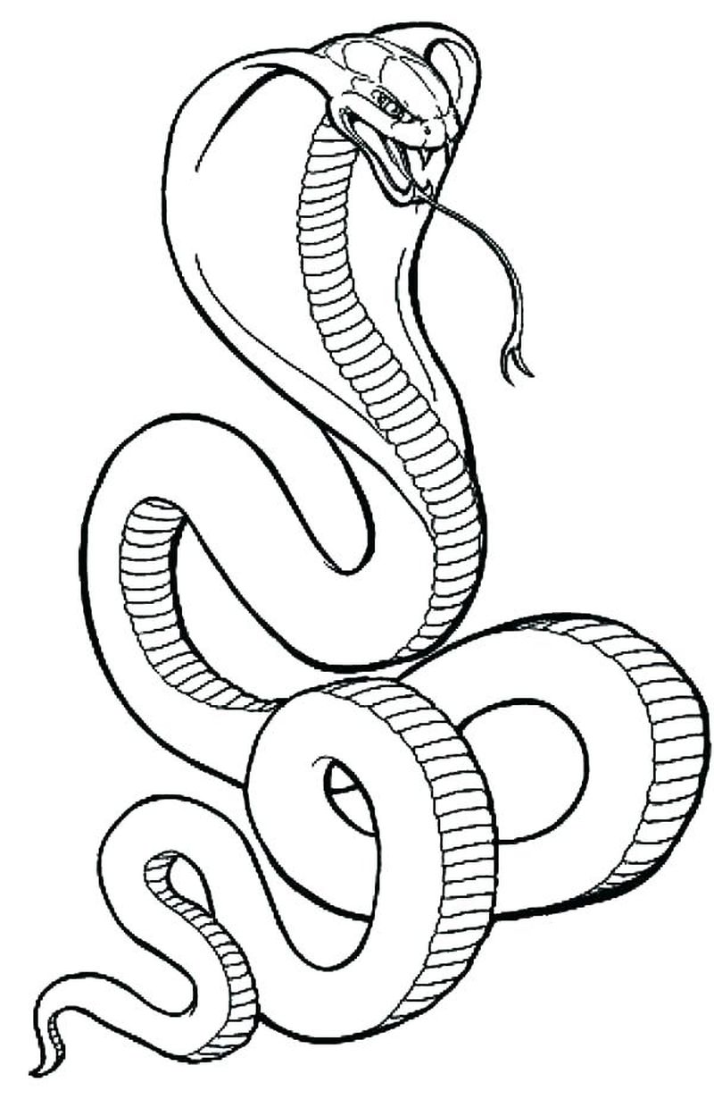 Free Printable Snake Coloring Pages