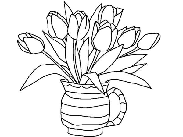 Free Printable Tulip Coloring Pages
