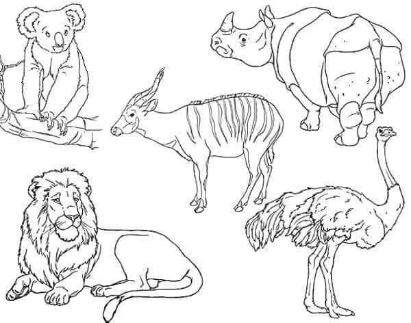 Free Printable Zoo Animal Coloring Pages