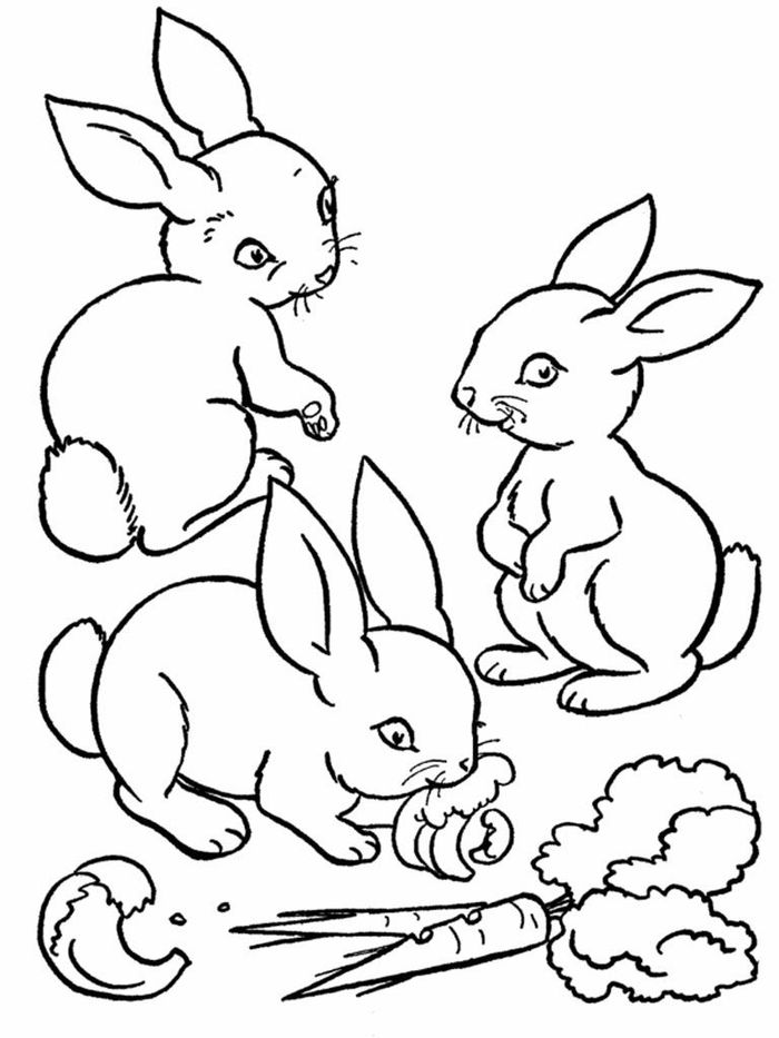 Printable Rabbit Coloring Pages PDF - Coloringfolder.com