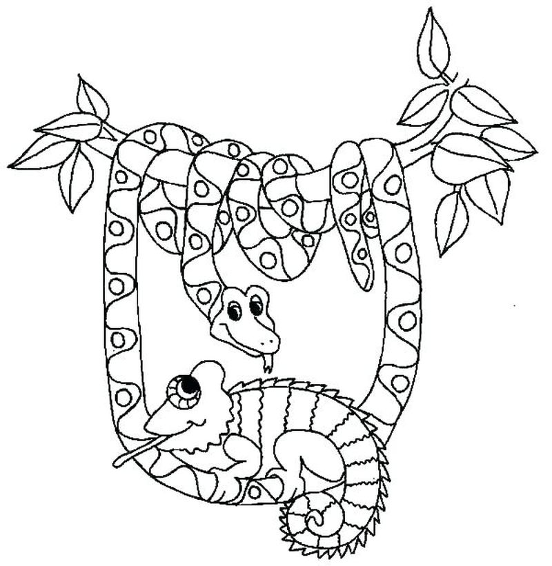 Free Snake Coloring Pages For Kids
