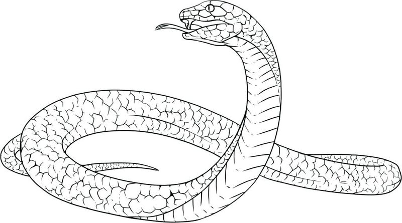 Free Snake Coloring Pages Printables