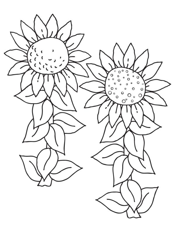 Free Sunflower Coloring Pages