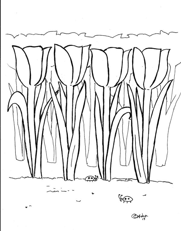 Free Tulip Coloring Pages