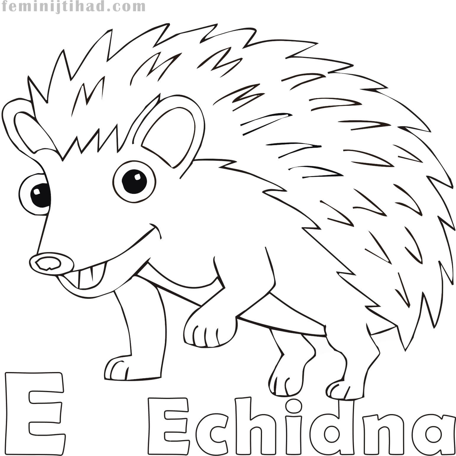 Free Echidna Coloring Page Printable