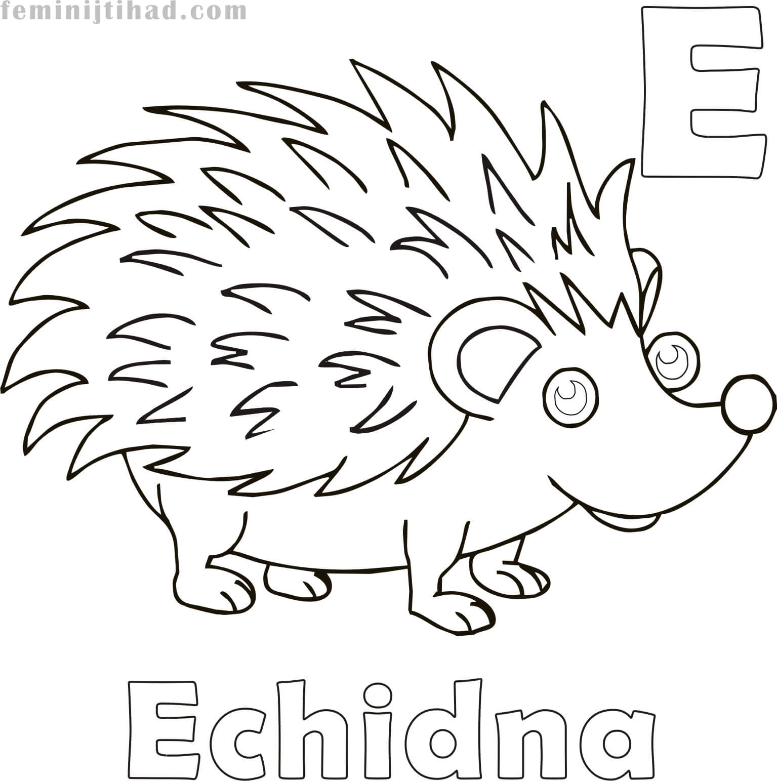 Free Echidna Coloring Page to Print