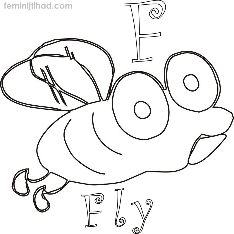 Gallery of Fly Coloring Pages
