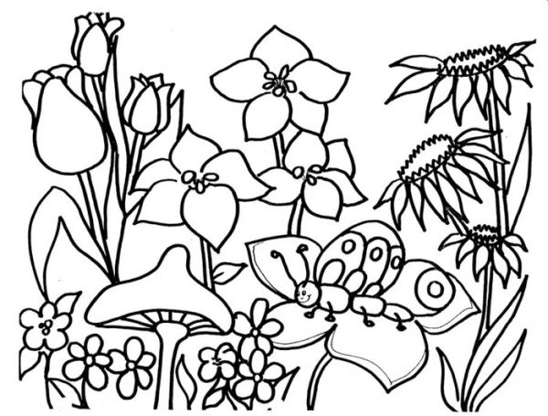 Garden flower spring coloring pages