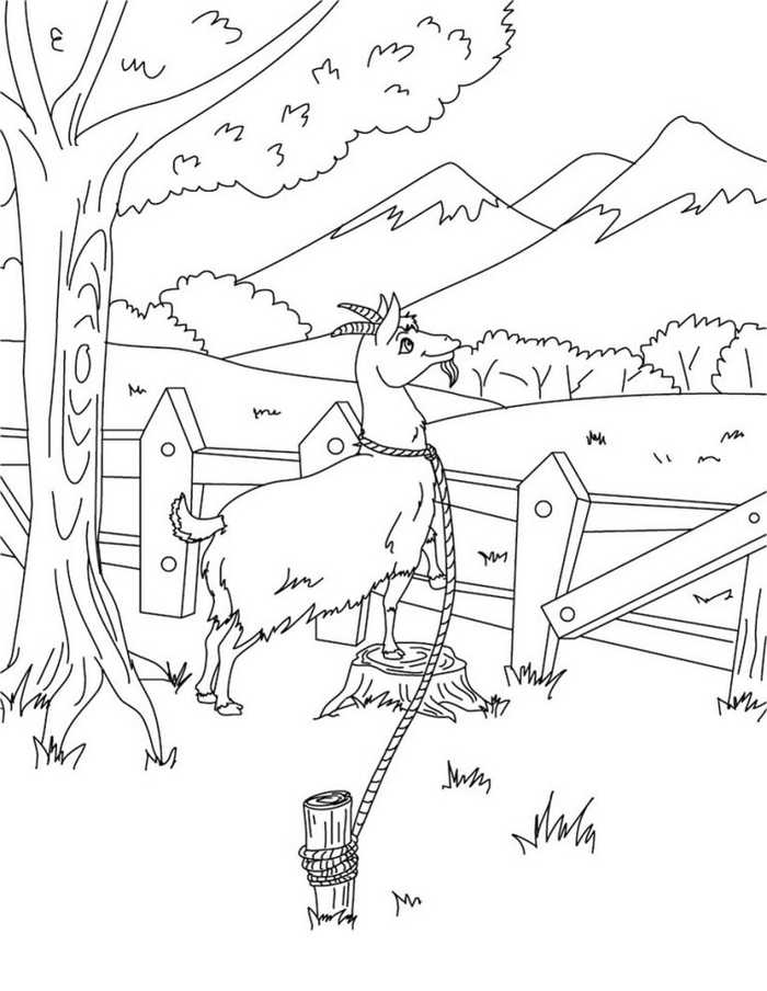 Goat Animal Coloring Page
