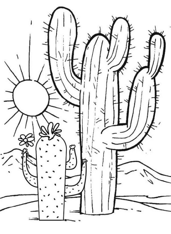 Great Cactus with sunset scenery Coloring Pages