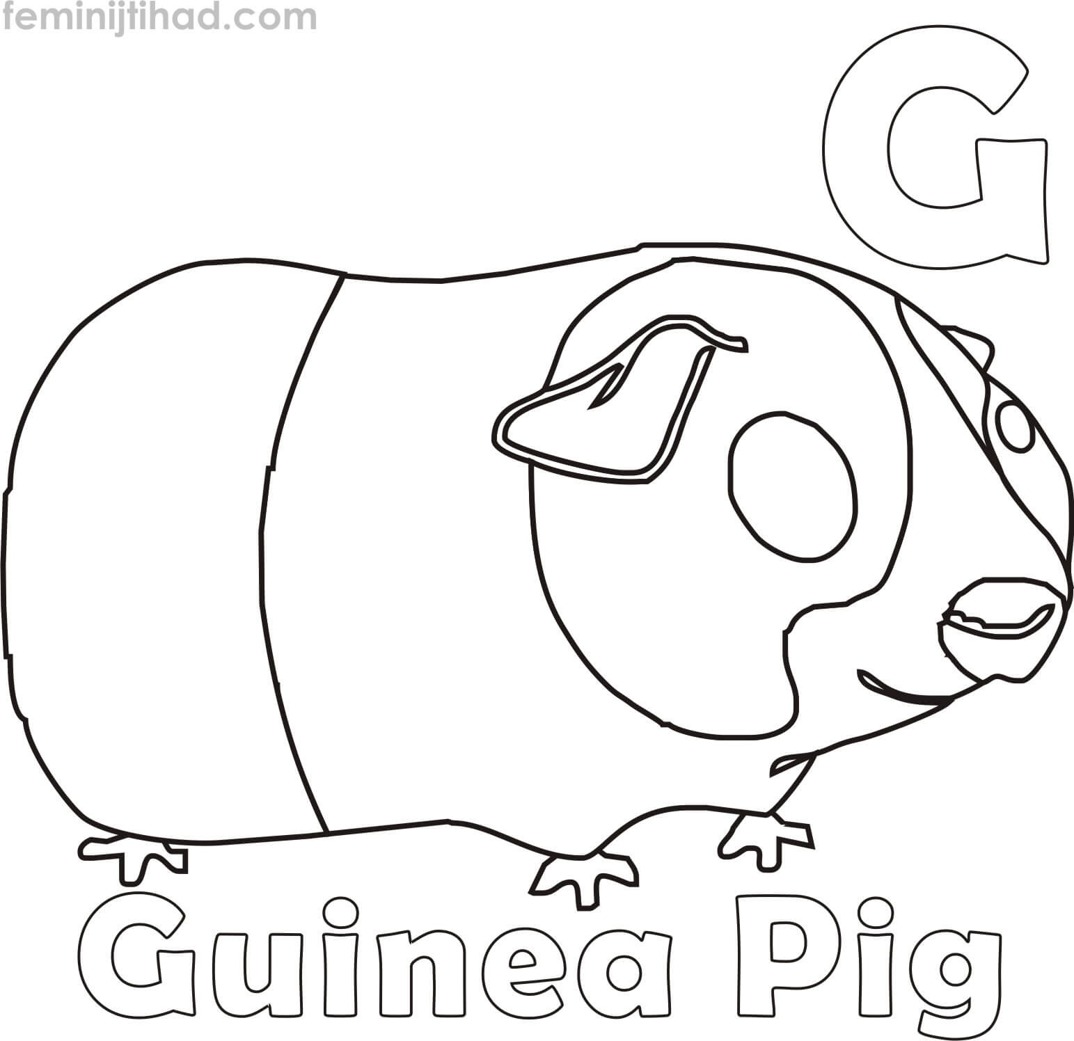 Guinea Pig coloring page