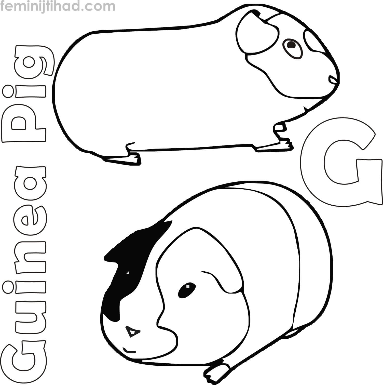 Guinea Pig coloring page free