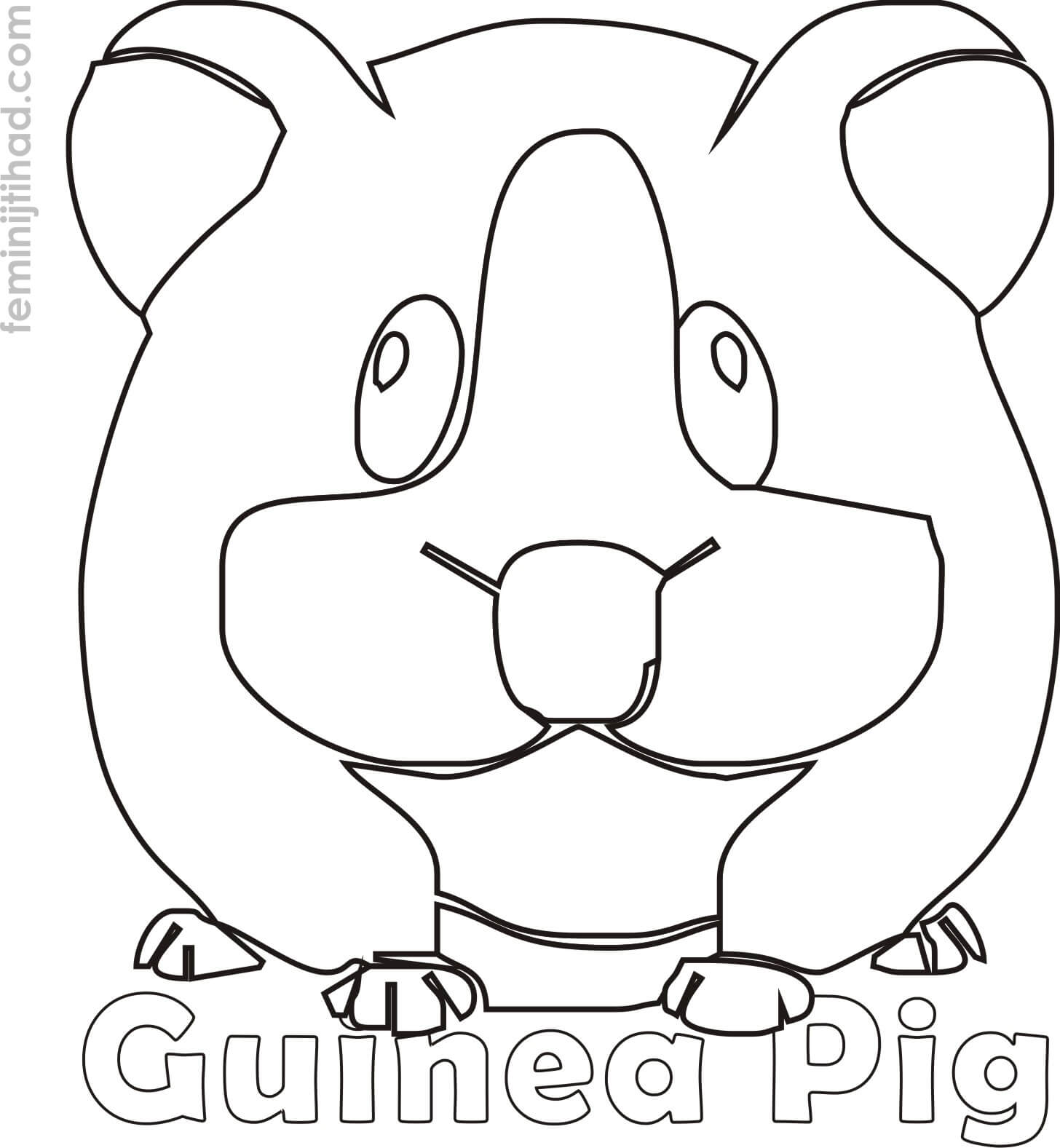 Guinea Pig coloring page printable