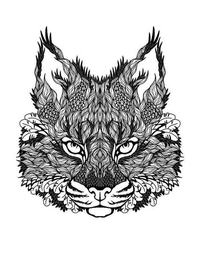 Hard Cat Coloring Pages For Adults