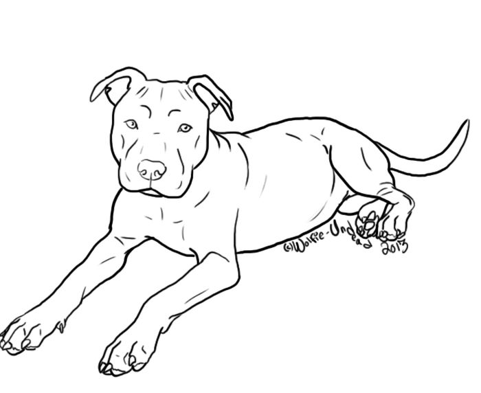 Hard Coloring Pages Pitbull Dogs