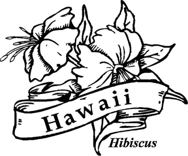 Hawaii Flower Hibiscus Coloring Pages Coloring Sun