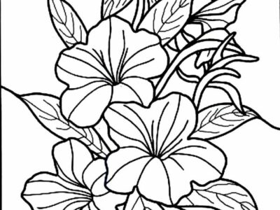 Hibiscus Coloring Pages Images