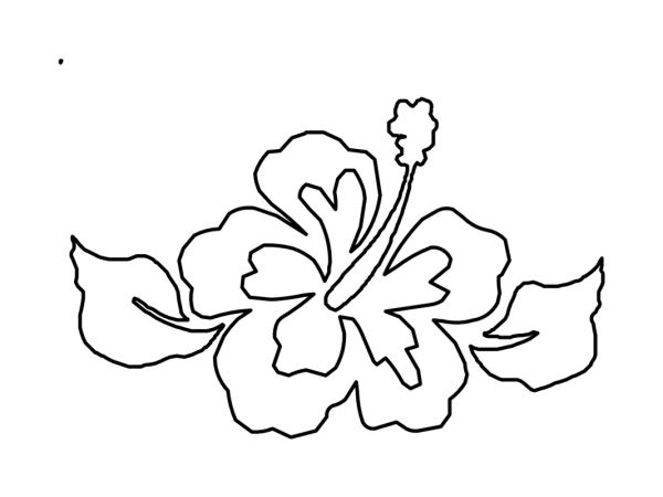 Hibiscus Coloring Pages to Print