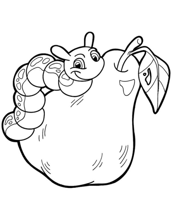 High quality Worm On A Pear Coloring Books To Print For Free