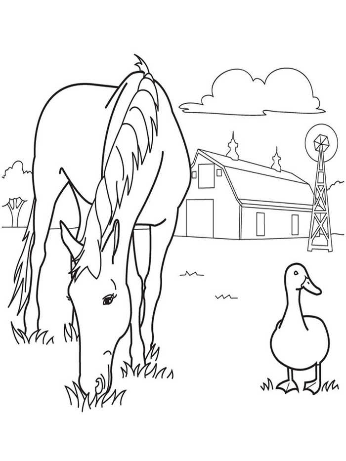 Horse And Duck On Farm Coloring Page