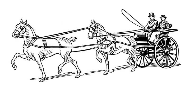 Horse Carriage Coloring Page