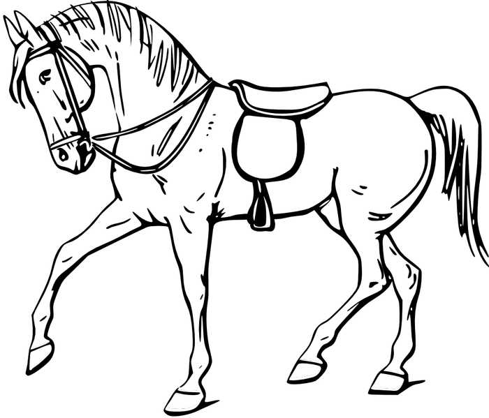 Horse Coloring Page For Kindergarten