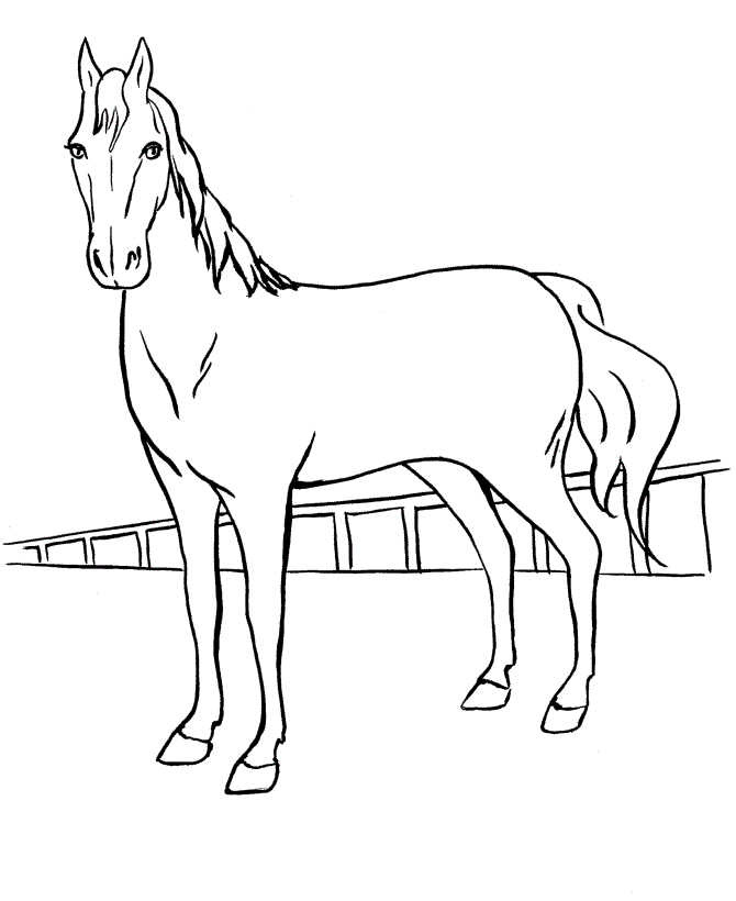 Horse Coloring Page For Preschool