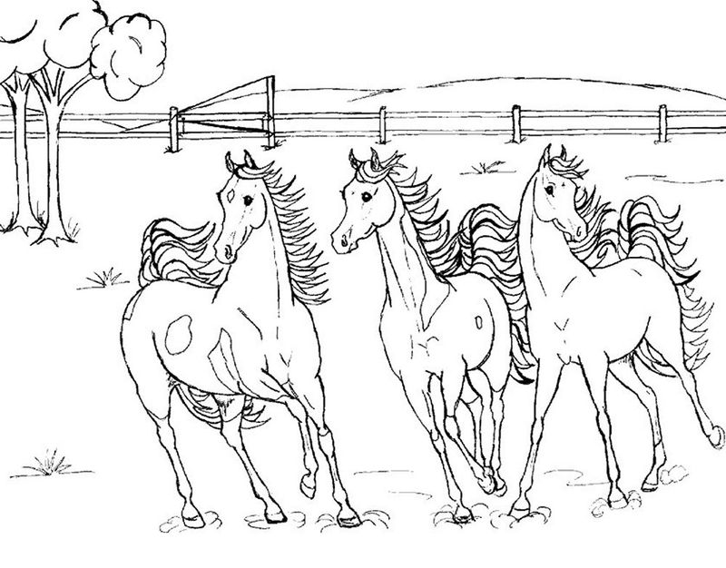 Horse Coloring Pages Online