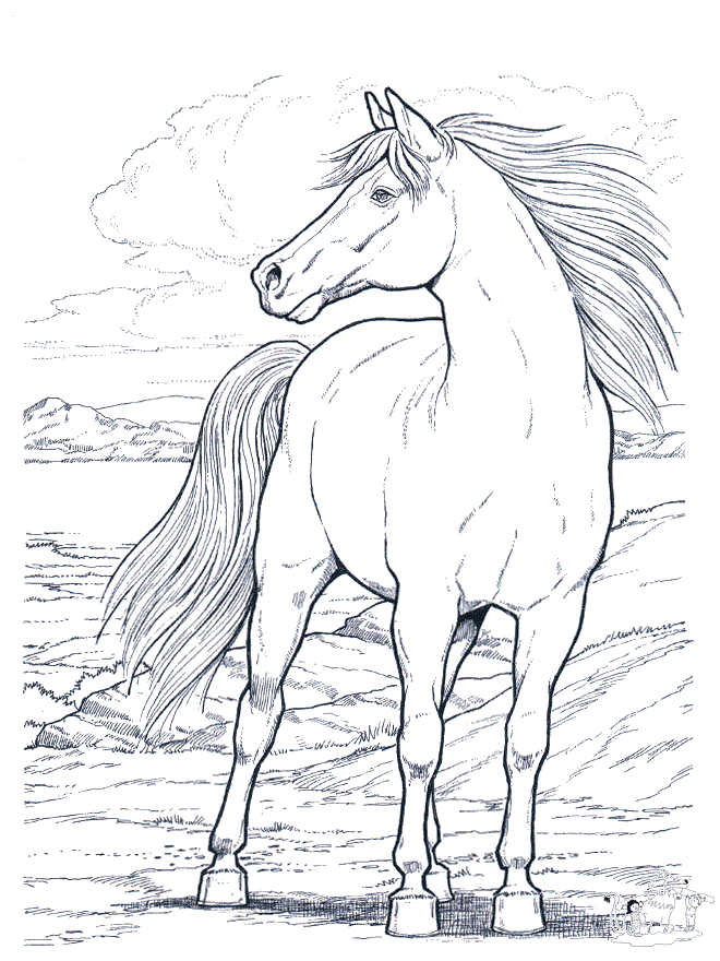 Horse In Wild Coloring Page