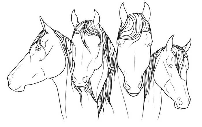 Horses Drawing To Color