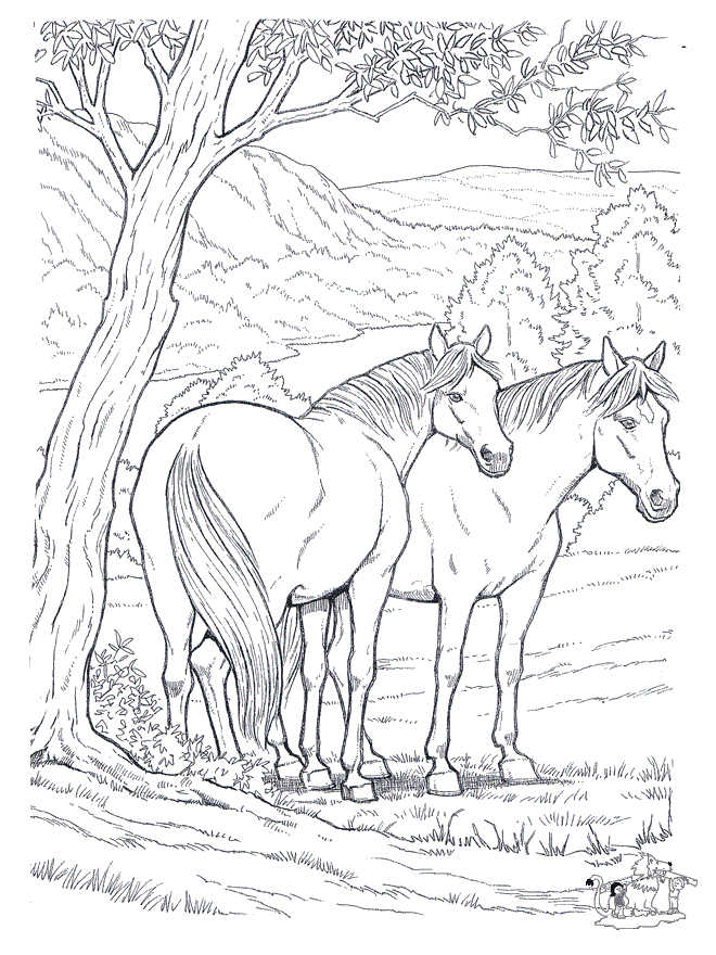 Horses Picture To Color