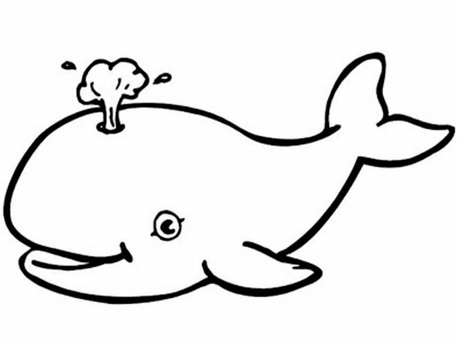 Humpback Whale Coloring Pages To Print