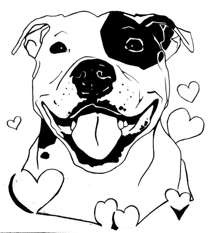 I Love Pitbull Coloring Pages