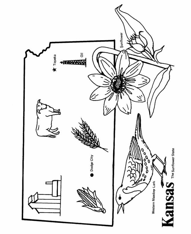 Kansas Map Coloring Page