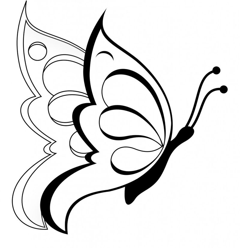 Kids Butterfly Coloring Pages