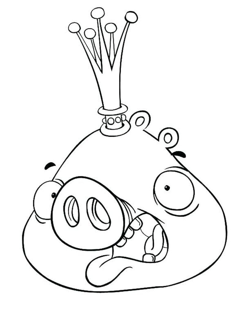 Kids Coloring Pages Angry Birds