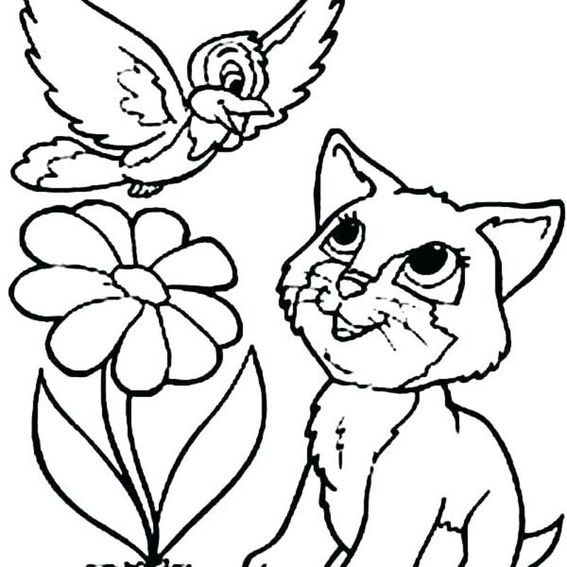 Kitty And Puppy Coloring Pages