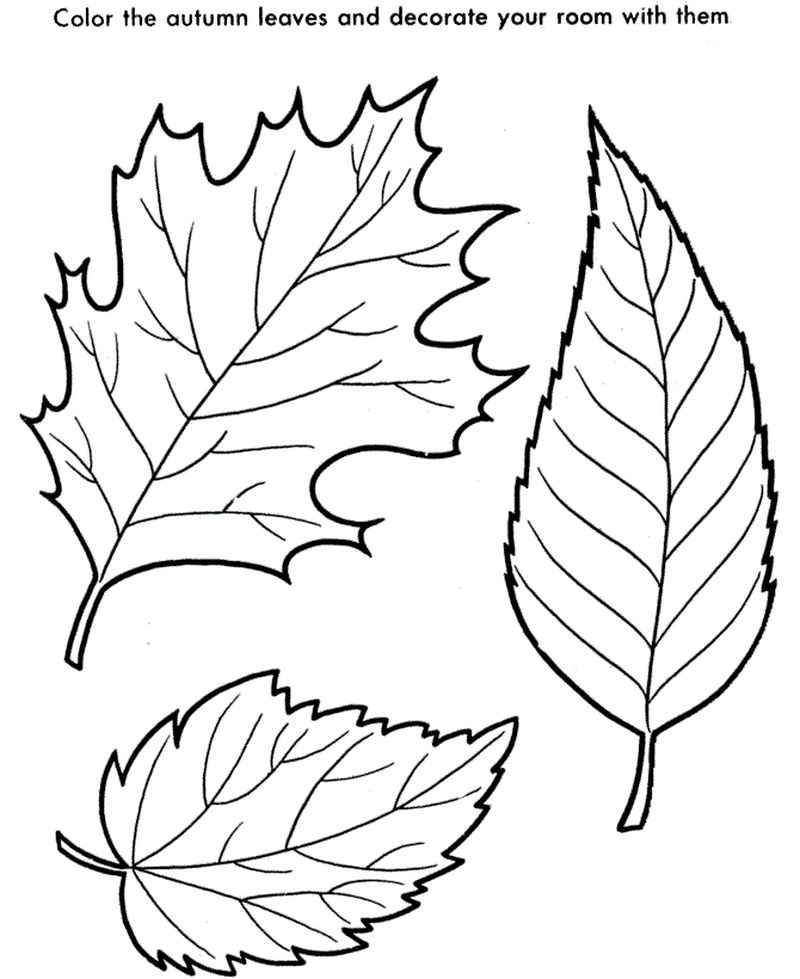 Leaf Coloring Pages For Kids