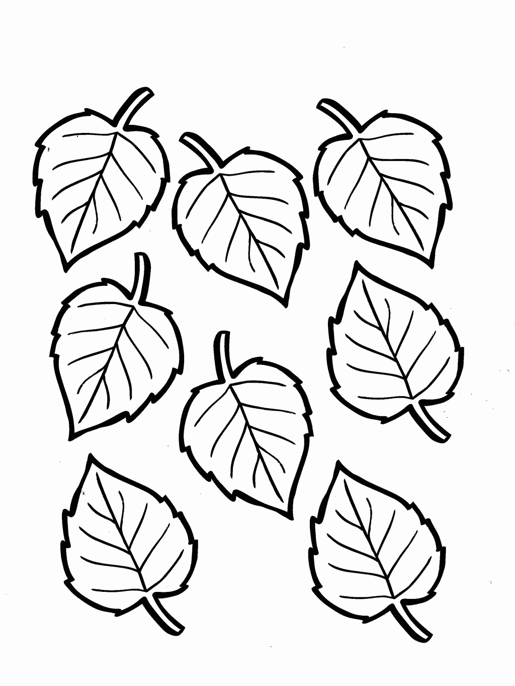 palm tree leaves coloring pages