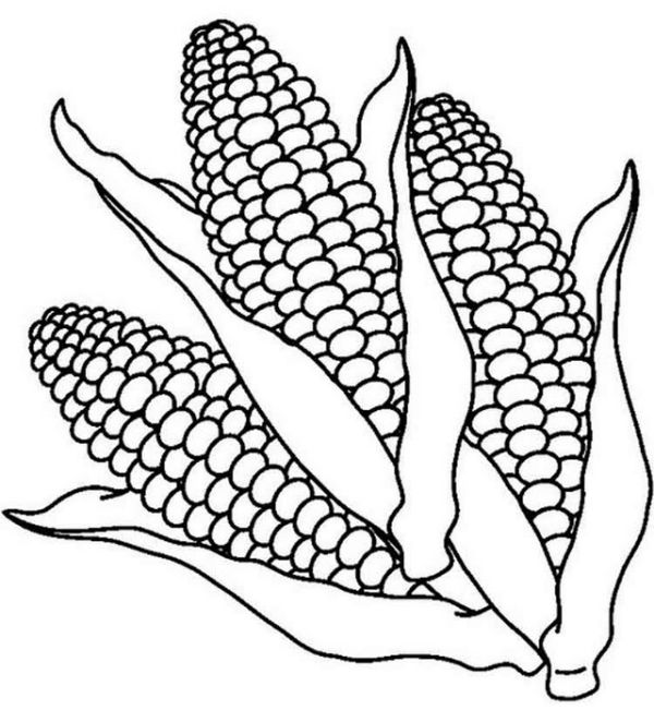 Letter C for Corn Coloring Page for Kids