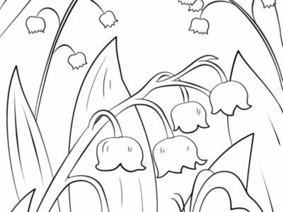Lily Of The Valley Coloring Pages Printable