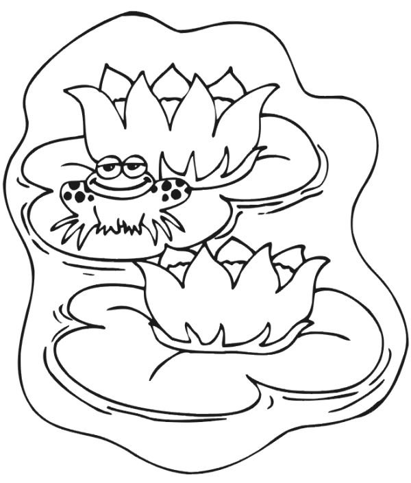 Lily Pad Coloring Page