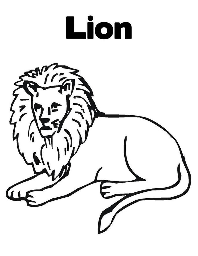 Lion Color Pages